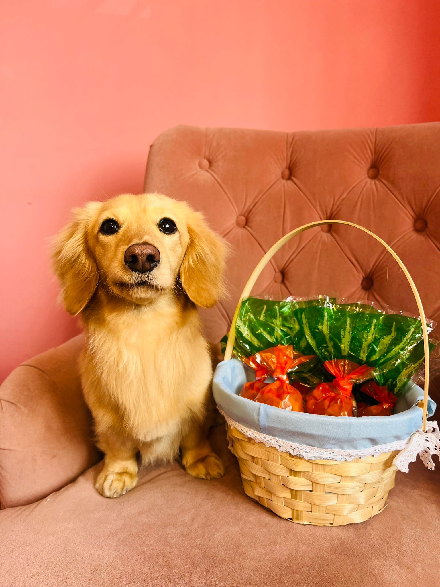Recent groom at Sam's Scrub Club, Liverpool